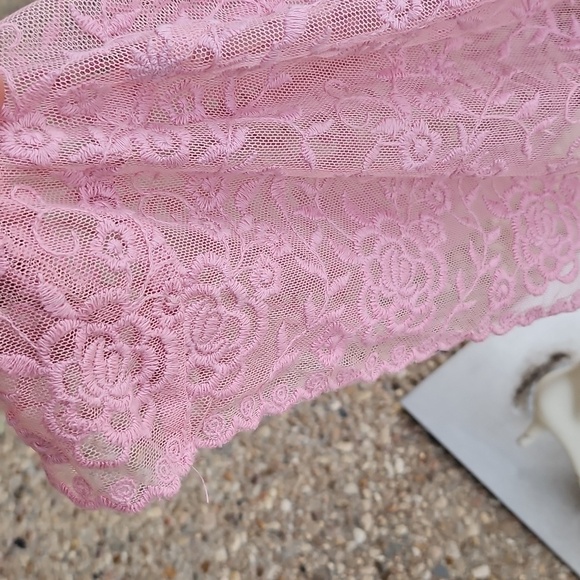 Sundance Juliet Rose Pink Lace Boho Romantic Sleeveless Embroidered Dress Size 6 - Picture 6 of 11